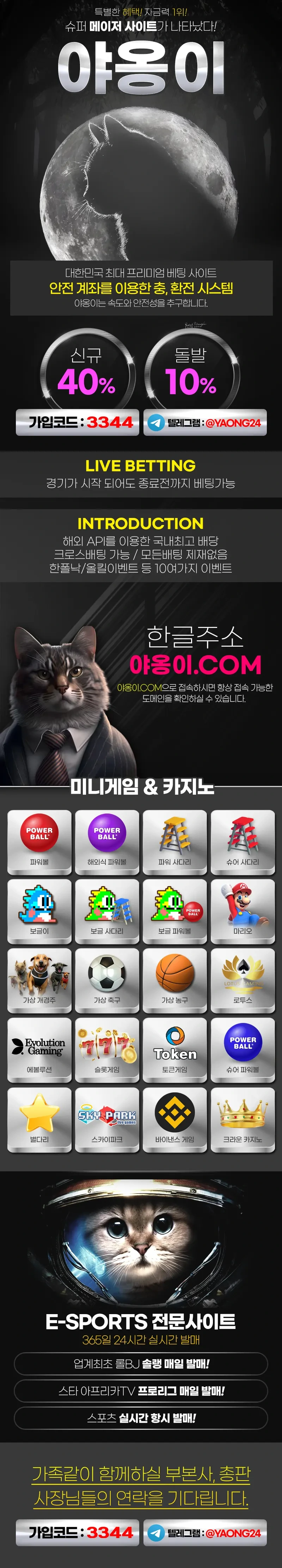 야옹이랜딩.webp